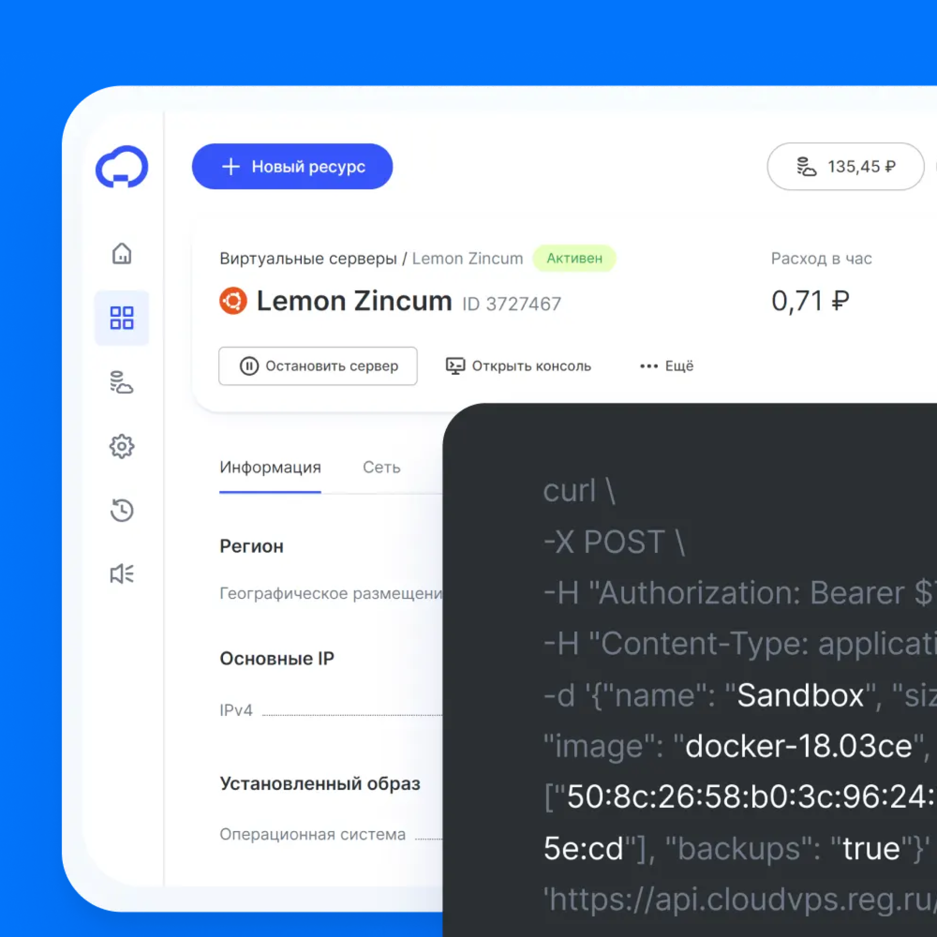 Domen və veb hosting nədir?